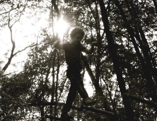  Como un equilibrista entre los árboles 